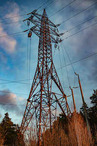 自然界中的高压电塔。电线杆和输电线路, 靠在盛开的绿色森林和蓝天上, 有云。权力和能源的概念