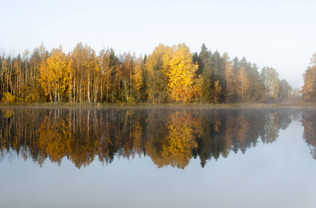 美丽的秋晨景观的Kymijoki河水在雾中。 芬兰