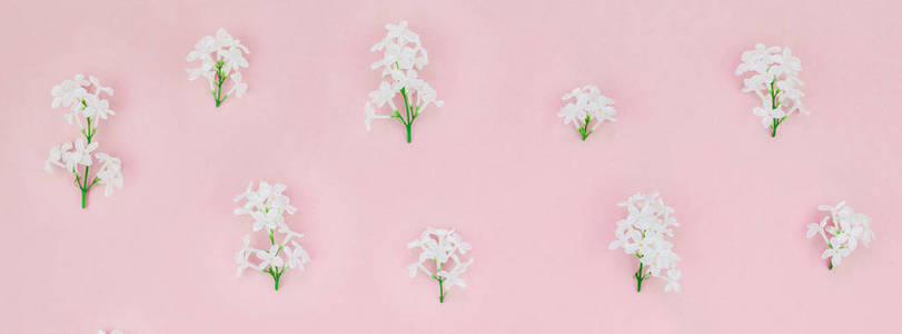 创意平躺概念顶部视图白色紫丁香花花瓣在粉彩背景与复制空间在最小风格模板的文字或设计