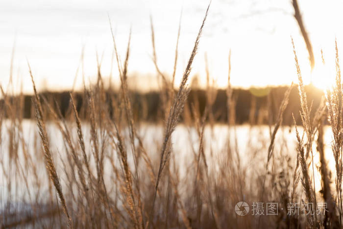 日落时，Kymijoki河水域美丽的秋季景观。 芬兰