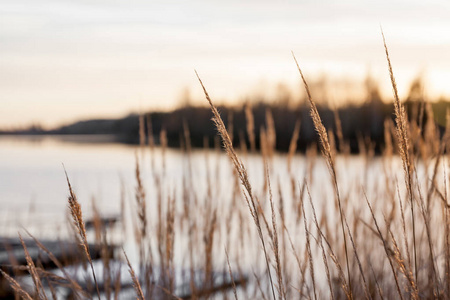 日落时，Kymijoki河水域美丽的秋季景观。 芬兰