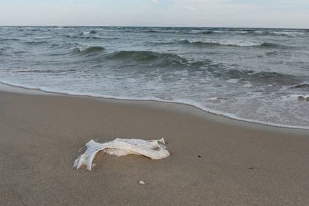 沙子上的垃圾到海里