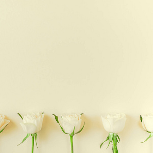 创意顶部平躺新鲜白玫瑰构图与复制空间粘贴纸背景极简主义风格。 女性博客社交网站节日结婚邀请卡