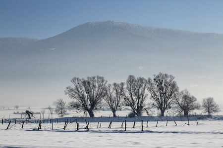 博鲁土耳其，冬雪自然公园景观