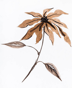 苏米esuibokuga风格的训练图由白色纸上的棕色水彩画的一品红花手