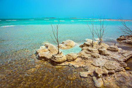 湖中风景如画的药用盐岛屿。 以色列春天。 永远活在死海里。 生态旅游和治疗性旅游的概念