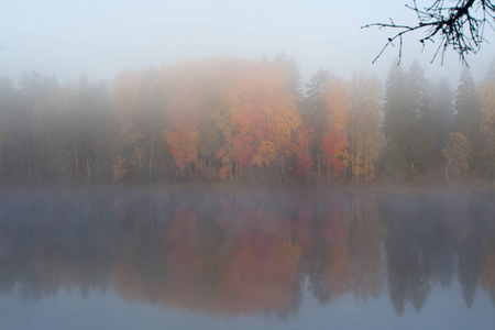 美丽的秋晨景观的Kymijoki河水在雾中。 芬兰