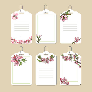 透明标签设置与精致的粉红色花和花在白色背景。 装饰祝贺礼品商品和设计