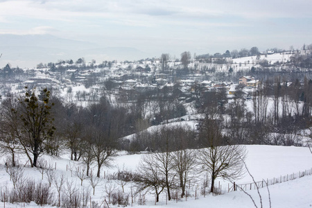 GolcukBolu火鸡冬季雪景