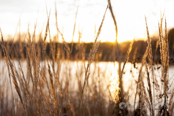 日落时，Kymijoki河水域美丽的秋季景观。 芬兰