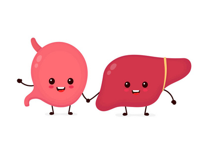 个可爱的强健康愉快的胃相似素材图片