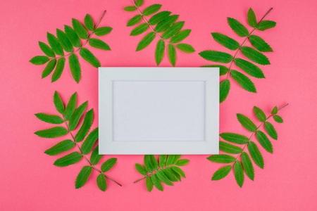 创意平躺顶部视图白色框架模拟与新鲜绿色罗旺树叶在明亮的粉红色背景与复制空间在最小的二通流行艺术风格模板的文本。