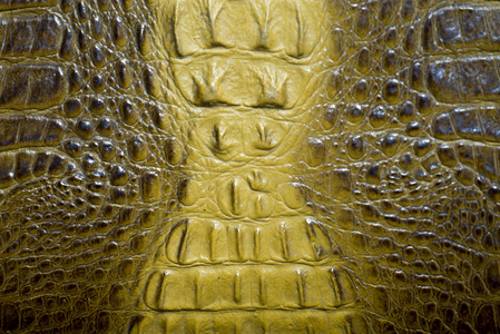 鳄鱼皮革纹理背景图片