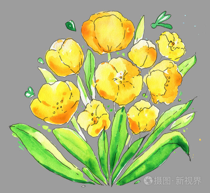花 水彩 花 灌木 春天 孤立的黄色照片 正版商用图片18k6qi 摄图新视界