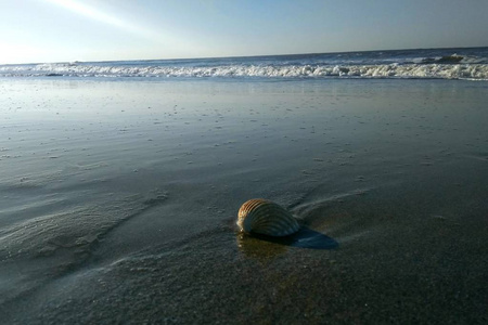 在海滩上的沙滩上的物体，在夕阳背景的背光下，靠近