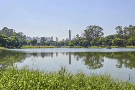 圣保罗天际线，从ParqueIbirapuera公园观赏