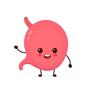 可爱的强健康愉快的胃照片