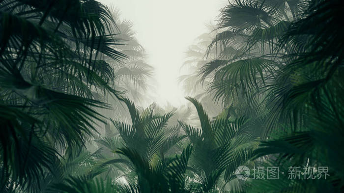丛林场景广告和壁纸的三维插图背景. 装饰概念中的三维渲染