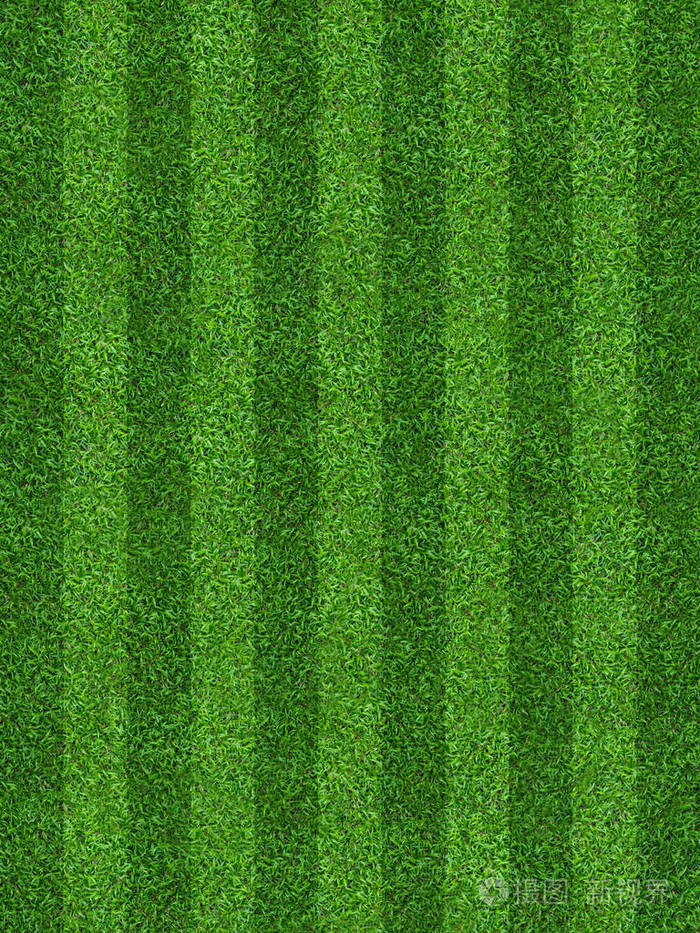 足球和足球运动的绿草地背景绿色草坪图案和纹理背景关闭图像
