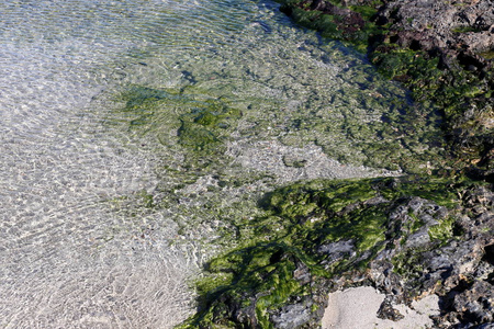 地中海海水的颜色