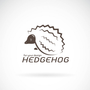 刺猬设计图片