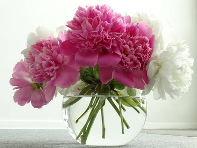 玻璃透明球形花瓶中的白色和粉红色牡丹