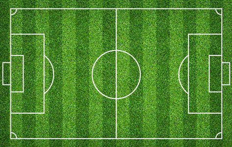 足球场草坪开花图片-足球场草坪开花素材-足球场草坪开花插画-摄图新