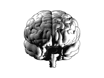 在白色背景上分离出的单色额脑雕刻缺陷