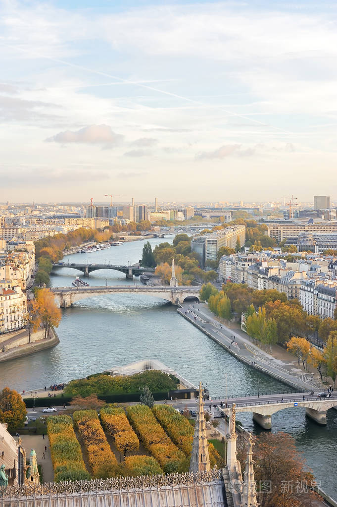 巴黎天际线,塞纳河和桥梁,从圣母院大教堂顶部看到.