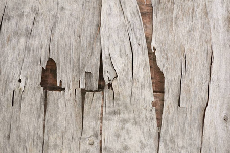 贴紧旧的破木木板纹理