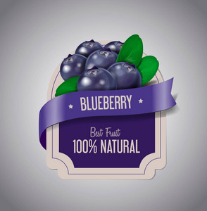 浆果标签与成熟蓝莓与绿叶。 蓝莓果酱标签设计模板。
