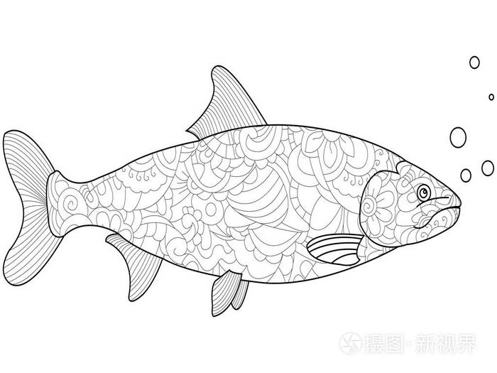 白色背景上的三文鱼黑线.花光栅的样式