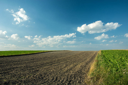 一条条犁过的田野地平线和蓝天上的白云