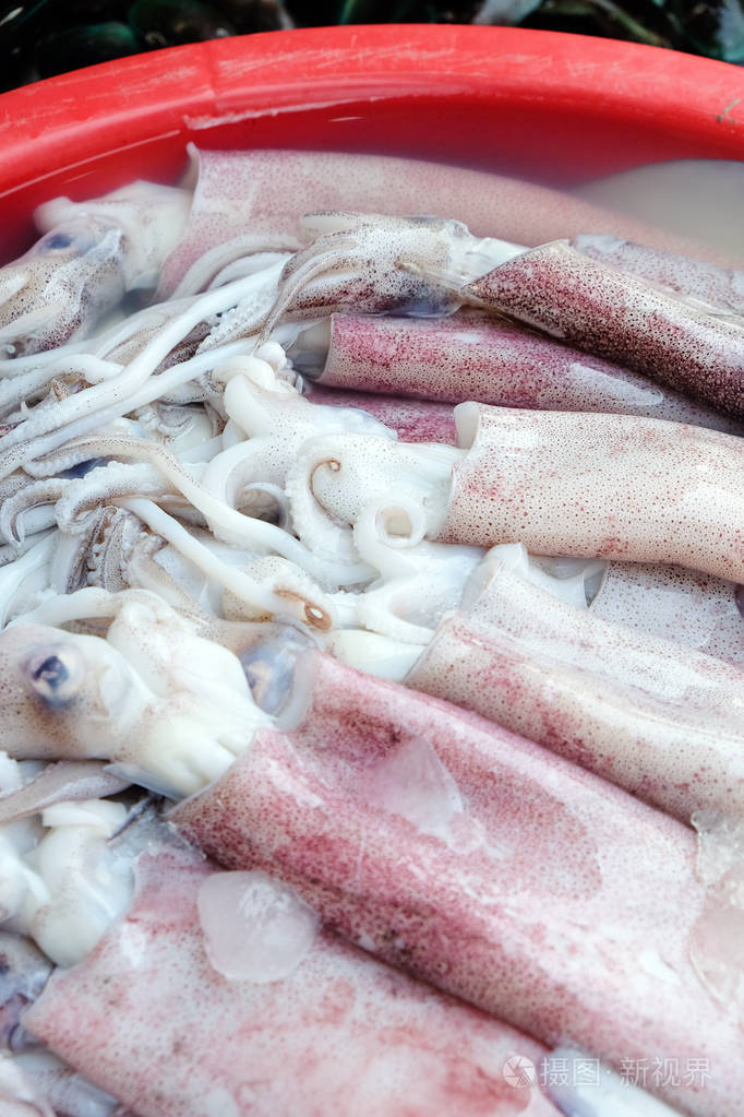 海鲜市场上的新鲜鱿鱼