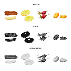 食物和生的标志的孤立对象。收集食品和自然载体图标的股票