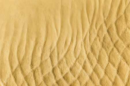 沙子的抽象背景纹理