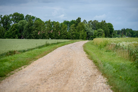 空的乡村砾石路,有泥坑和颠簸.有沙子和小石头的肮脏路面照片