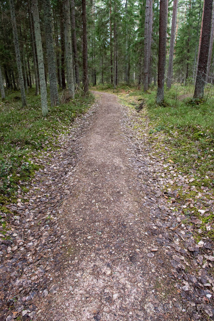 空的乡村砾石路有泥坑和颠簸有沙子和小石头的肮脏路面