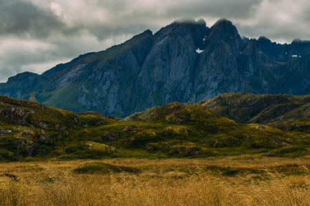美丽的洛福顿群岛的山景，重点是草地，挪威