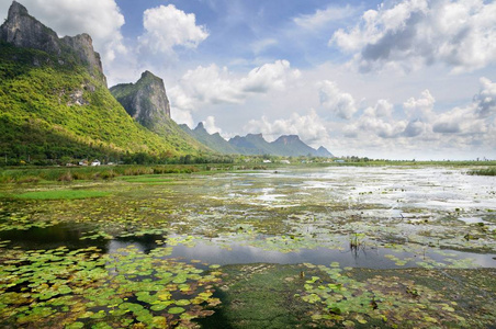 泰国KhaoSamRoiYot国家公园山脚下的湿地和沼泽覆盖着睡莲和芦苇