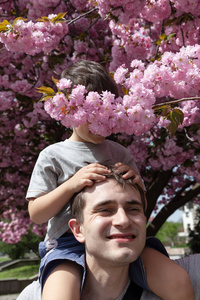 家庭和幸福的生活方式概念。 幸福的家庭肖像。 孩子在樱花的背景下和父亲玩耍