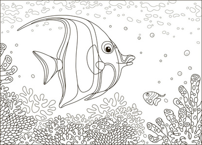 有趣的蝴蝶鱼游过令人惊叹的珊瑚礁在热带海洋黑白矢量插图卡通风格