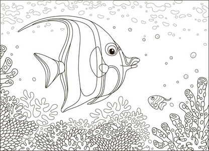 有趣的蝴蝶鱼游过令人惊叹的珊瑚礁在热带海洋黑白矢量插图卡通风格