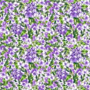 矢量无缝图案绽放紫色绣球和绿色叶子。 白色背景上有花卉构图的插图。 用于纺织品室内包装纸等设计。