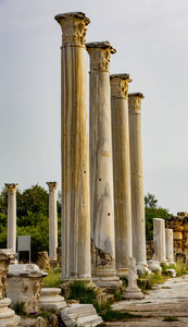 塞浦路斯古代萨拉米斯柱遗址