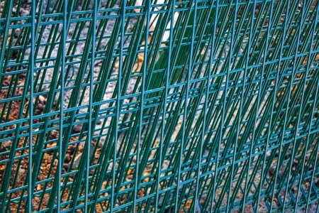 镀锌钢板包装，栅栏用粉末涂层，绿色，接近