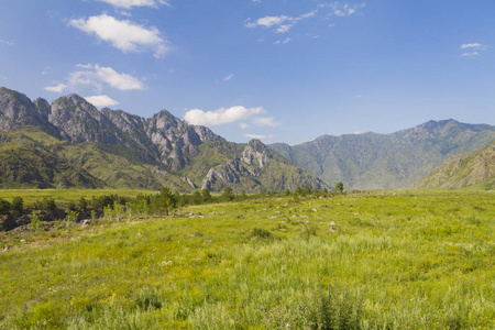 阿尔泰山全景