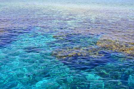 红海。埃及. 红海的珊瑚礁