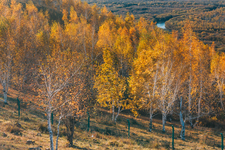 Na,in Autumn with yellow trees and blue sky