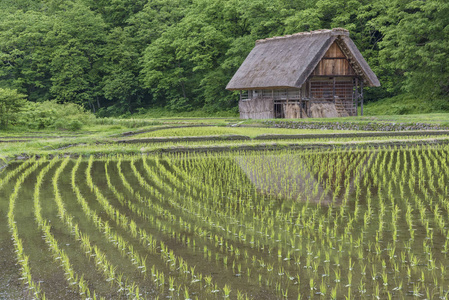 s UNESCO World Heritage Sites located in Gifu Prefecture, Japan.